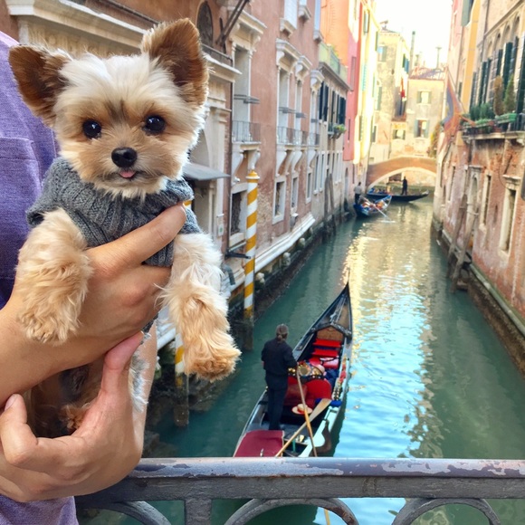 🖤 Meet your Posh Ambassador - Picture 2 of 10